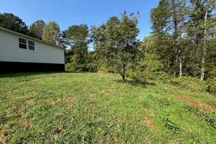 236 Washington Wilson Loop, Blue Ridge, GA 30513 - Photo 47