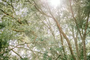 2985 Jackson Bridge Rd, Carnesville, GA 30521 - Photo 45