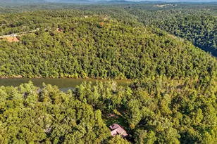 650 Myna Dr, Ellijay, GA 30540 - Photo 55