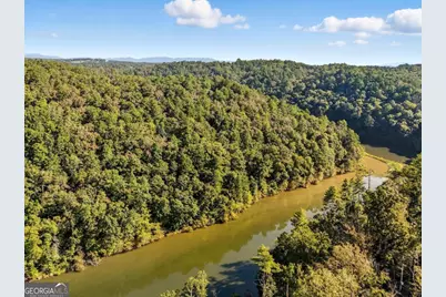 650 Myna Drive #986, Ellijay, GA 30540 - Photo 53