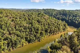 650 Myna Dr, Ellijay, GA 30540 - Photo 53