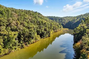 650 Myna Dr, Ellijay, GA 30540 - Photo 5