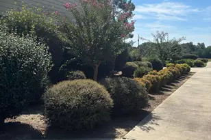 330 Warwick Hwy, Ashburn, GA 31714 - Photo 31