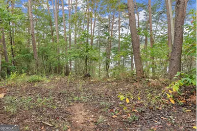 4193 Cagle Road, Lula, GA 30554 - Photo 23