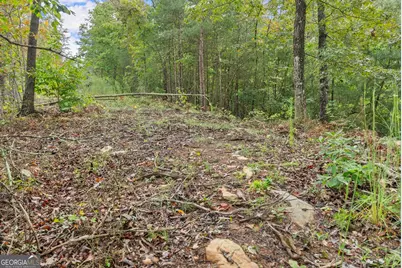 4193 Cagle Road, Lula, GA 30554 - Photo 21