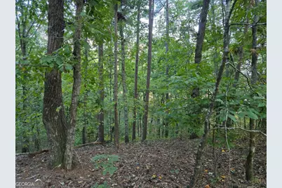 0 Old Goodie Mtn Road SE, Cartersville, GA 30120 - Photo 3