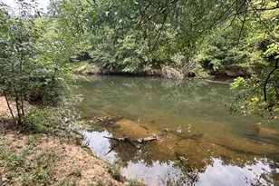 2489 Boxankle Rd, Forsyth, GA 31029 - Photo 61