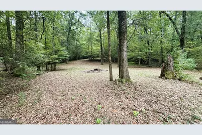 2489 Boxankle Road, Forsyth, GA 31029 - Photo 63