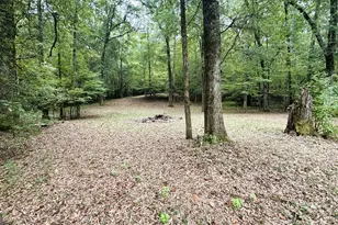 2489 Boxankle Rd, Forsyth, GA 31029 - Photo 63