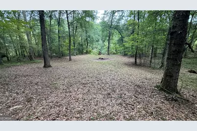 2489 Boxankle Road, Forsyth, GA 31029 - Photo 65