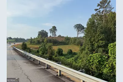 0 US Hwy 17, Martin, GA 30557 - Photo 3