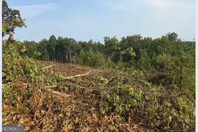 0 US Hwy 17, Martin, GA 30557 - Photo 5