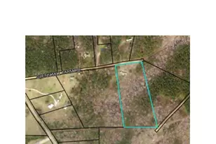 250 Glenn Mill Farms Rd, Franklin, GA 30217 - Photo 3