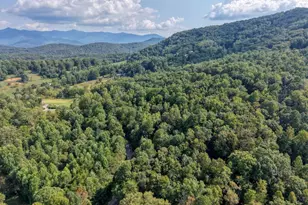 8296 True Love Mountain Rd, Young Harris, GA 30582 - Photo 55