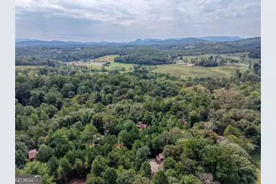 193 Windy Valley Trail, Blue Ridge, GA 30513 - Photo 63