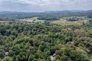 193 Windy Valley Trl, Blue Ridge, GA 30513 - Photo 63