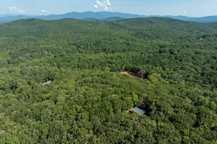 214 Dickerson Dr, Ellijay, GA 30536 - Photo 33