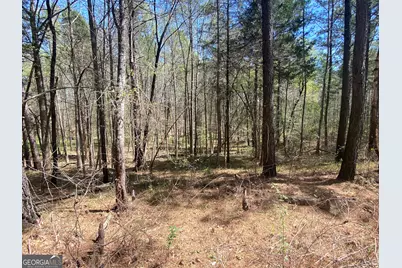 0 Highway 98, Homer, GA 30547 - Photo 17
