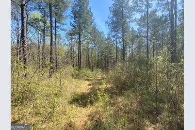 0 Highway 98, Homer, GA 30547 - Photo 21