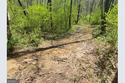 0 Highway 98, Homer, GA 30547 - Photo 35