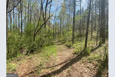 0 Highway 98, Homer, GA 30547 - Photo 9