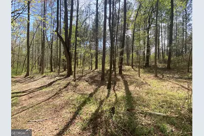 0 Highway 98, Homer, GA 30547 - Photo 11