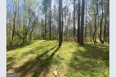 0 Highway 98, Homer, GA 30547 - Photo 5