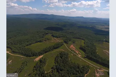 0 Johnson Mountain Road #7401-H, Rydal, GA 30171 - Photo 15