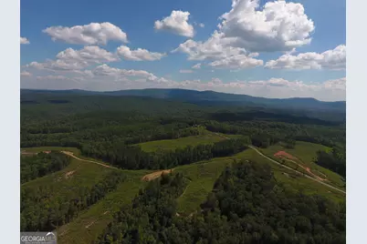 0 Johnson Mountain Road #7401-H, Rydal, GA 30171 - Photo 27