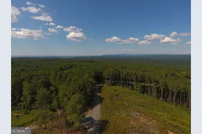 0 Johnson Mountain Road #7401-I, Rydal, GA 30171 - Photo 3