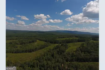 0 Johnson Mountain Road #7401-I, Rydal, GA 30171 - Photo 29