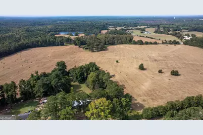 1251 Brick House Road, Greensboro, GA 30642 - Photo 31