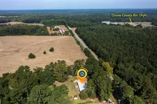 1251 Brickhouse Rd, Greensboro, GA 30642 - Photo 3