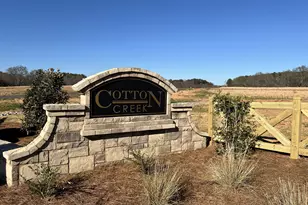 241 Cherokee Ct, Good Hope, GA 30641 - Photo 39
