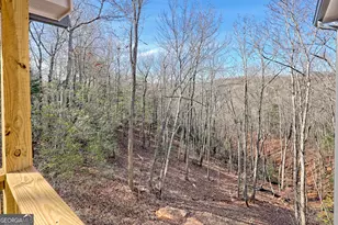 341 Abby Ln, Clayton, GA 30525 - Photo 135