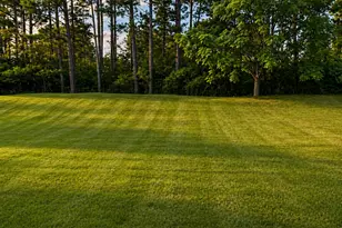 2840 Ellenwood Village Way, Ellenwood, GA 30294 - Photo 29