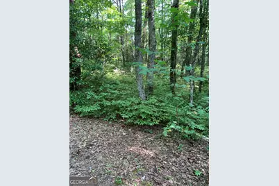 0 Maple Leaf Drive #TRACT 6, Dillard, GA 30537 - Photo 5