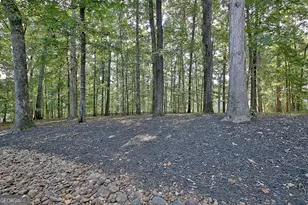 270 Emerald Lake Dr, Fayetteville, GA 30215 - Photo 63