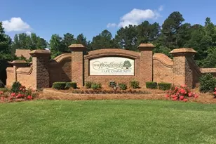 270 Emerald Lake Dr, Fayetteville, GA 30215 - Photo 69