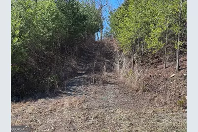 246 Andes Ridge, Jasper, GA 30143 - Photo 39