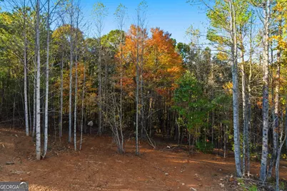 165 Field Stone Circle, Jasper, GA 30143 - Photo 35