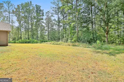 4059 Smokey Road, Newnan, GA 30263 - Photo 41