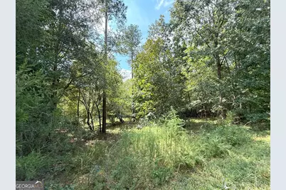 1049 Jaybird Lane, Elberton, GA 30635 - Photo 5