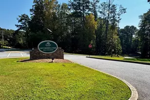 1115 Canyon Point Cir, Roswell, GA 30076 - Photo 29