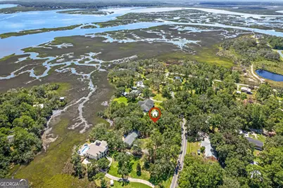 Lot 73 Pelican, Woodbine, GA 31569 - Photo 3