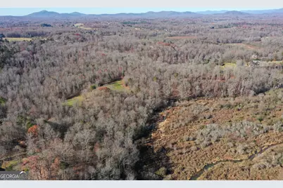 3532 New Bridge Road, Cleveland, GA 30528 - Photo 3