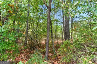 0 Liberty Road, Villa Rica, GA 30180 - Photo 5