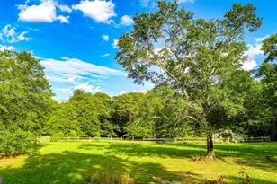 240 Harkness Rd, Jackson, GA 30233 - Photo 49