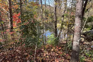 68 Nelson Ln, Hiawassee, GA 30546 - Photo 51