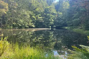 68 Nelson Ln, Hiawassee, GA 30546 - Photo 15